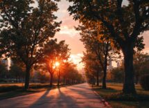 Amalia in un momento di riflessione musicale