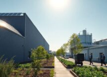 circular economy e sostenibilita il futuro delle aziende nel 2025 1761742851